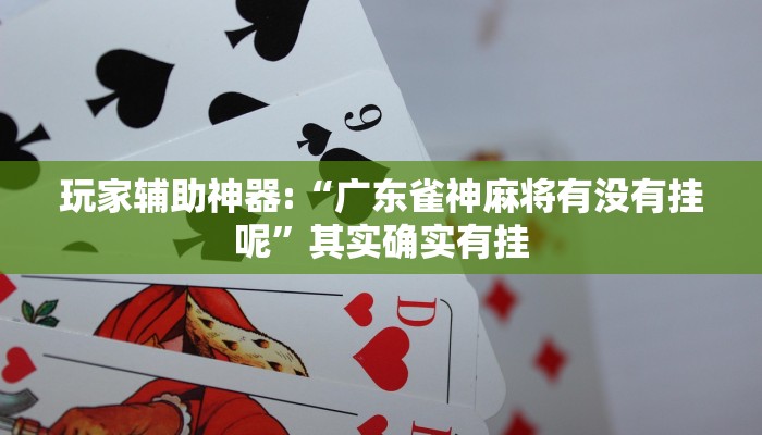 玩家辅助神器:“搜圈麻将怎么开挂”其实确实有挂