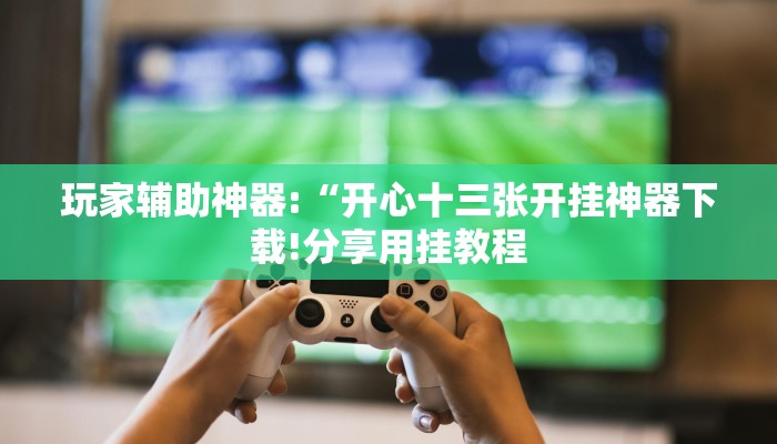 玩家辅助神器:“花城牌舍怎么开挂”其实确实有挂