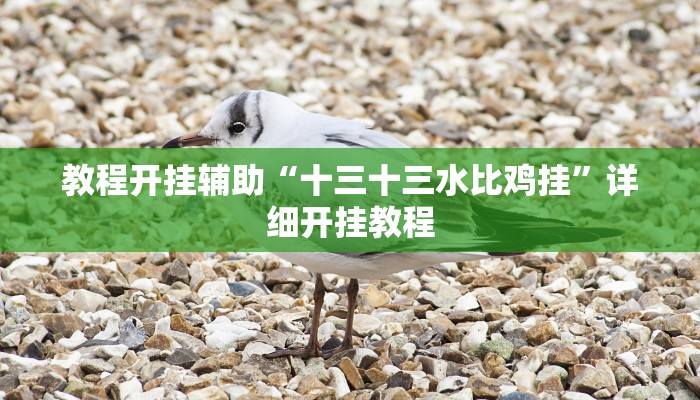玩家辅助神器:“浩瀚麻将怎样开挂教程”其实确实有挂