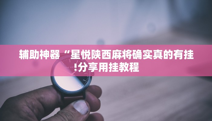 辅助神器“打两圈兴化麻将确实真的有挂”其实确实有挂