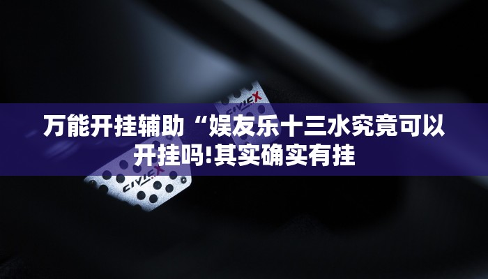 教程开挂辅助“中至游戏有没有作弊辅助!其实确实有挂