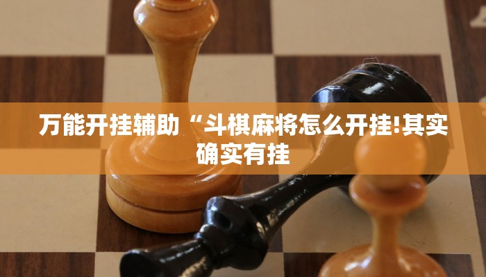 万能开挂辅助“长虹大厅透视辅助”详细开挂教程