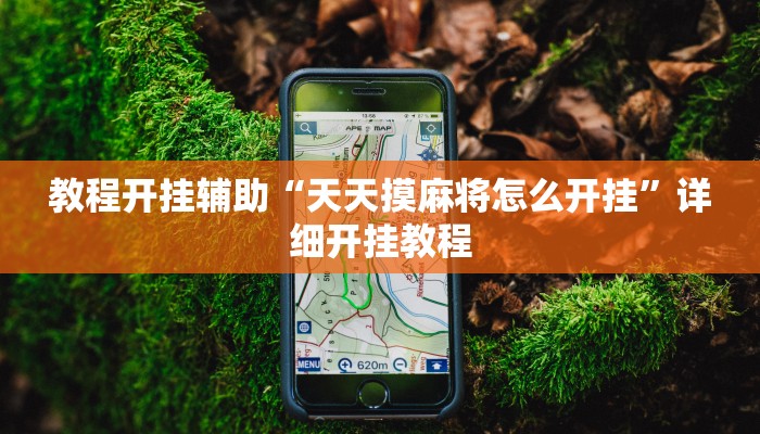 万能开挂辅助“广西十三水万能辅助器!其实确实有挂