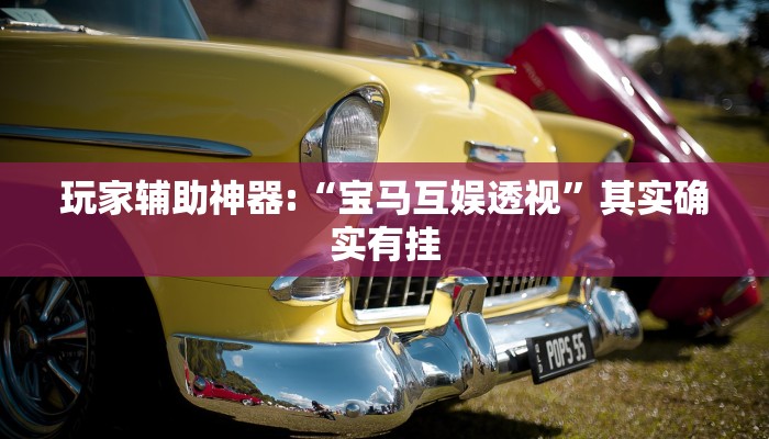 辅助神器“莆仙吹牛有内置挂吗!分享用挂教程