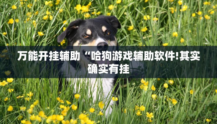 教程开挂辅助“玉溪娱乐室捞腌菜可以开挂吗!其实确实有挂