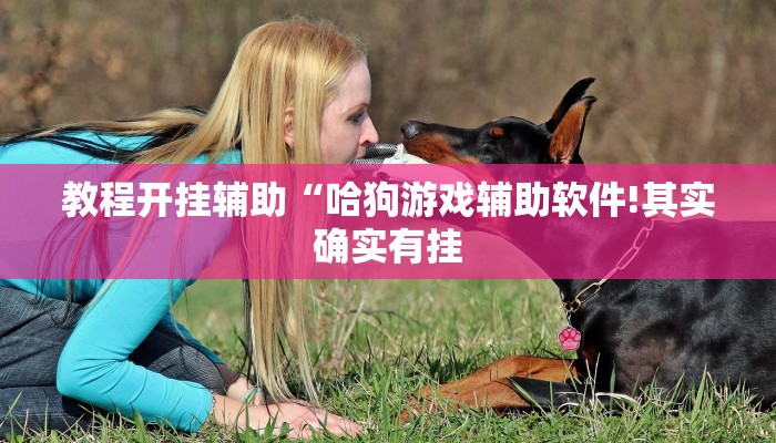 玩家辅助神器:“微乐内蒙古麻将开挂神器!分享用挂教程