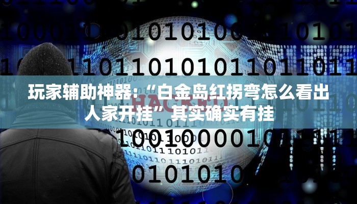 辅助神器“皇豪互众透视开挂神器”其实确实有挂