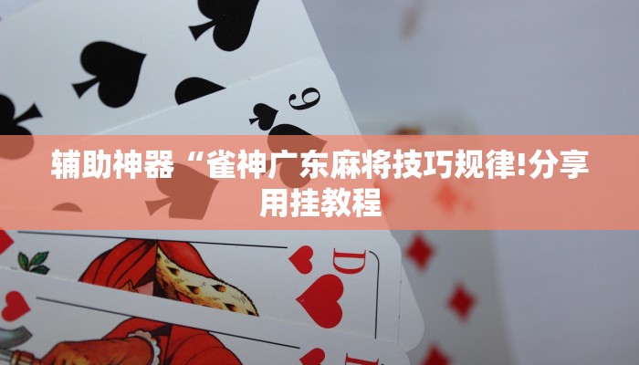 玩家辅助神器:“微乐麻将开挂器通用版”其实确实有挂