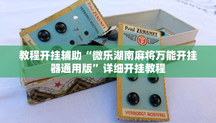 辅助神器“中至武宁双扣怎么开挂”其实确实有挂