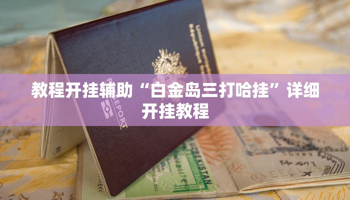 辅助神器“皮皮云南麻将小程序必赢神器!分享用挂教程
