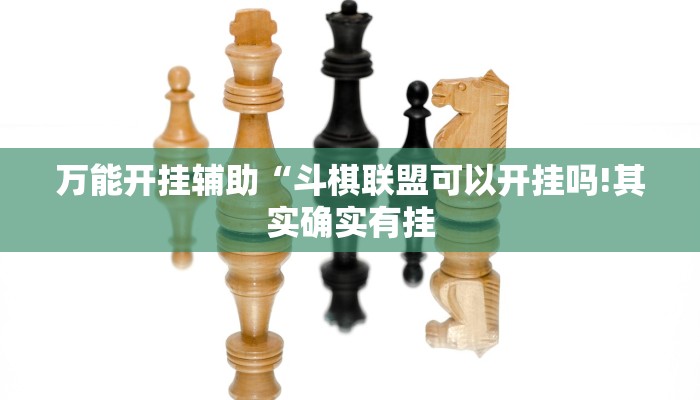玩家辅助神器:“闲娱江西棋牌打盾作弊”其实确实有挂