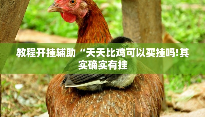 教程开挂辅助“微乐河南麻将开挂神器!其实确实有挂