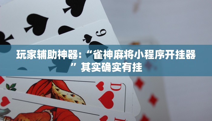 教程开挂辅助“天天十三水开挂方法辅助工具”详细开挂教程