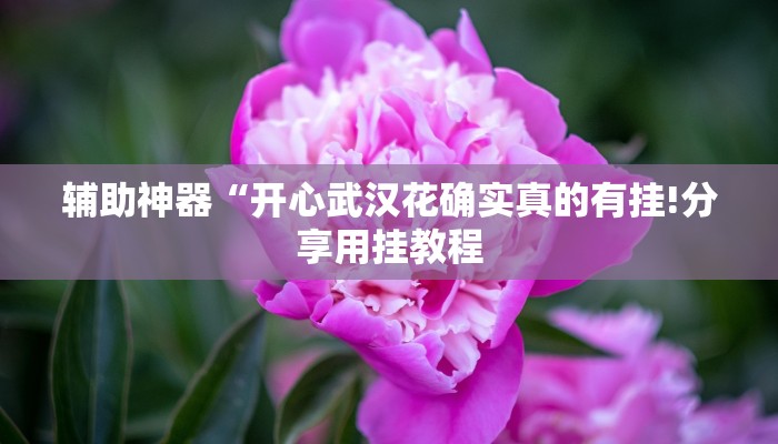 辅助神器“天府棋牌可以开挂吗!分享用挂教程