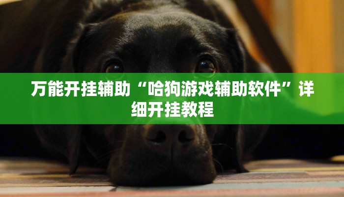 玩家辅助神器:“全民松原麻将怎么开挂”其实确实有挂