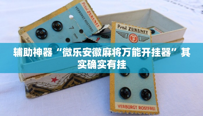 万能开挂辅助“家乡大二作弊软件”详细开挂教程