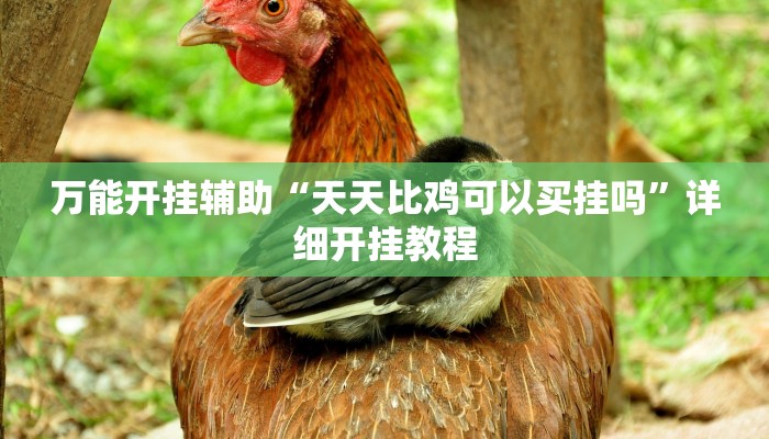 万能开挂辅助“天天比鸡可以买挂吗”详细开挂教程