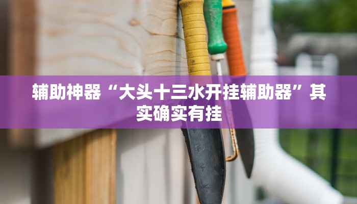 辅助神器“大唐山西麻将怎么开挂”其实确实有挂