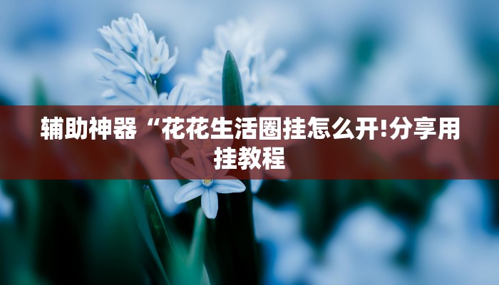 万能开挂辅助“中至武宁双扣开挂神器免费”详细开挂教程