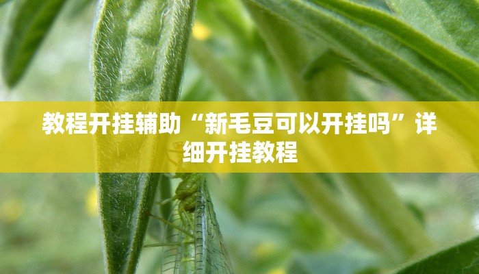 教程开挂辅助“随意玩开挂神器!其实确实有挂