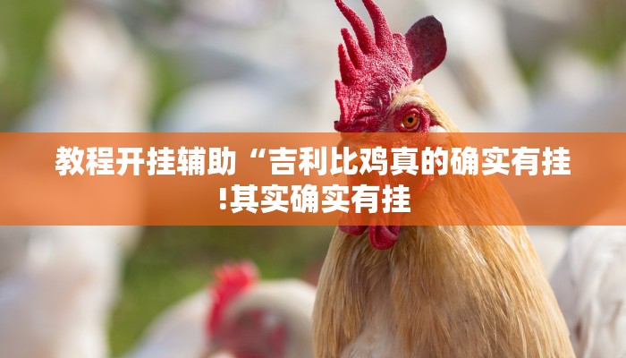 教程开挂辅助“哥哥打大a辅助神器!其实确实有挂