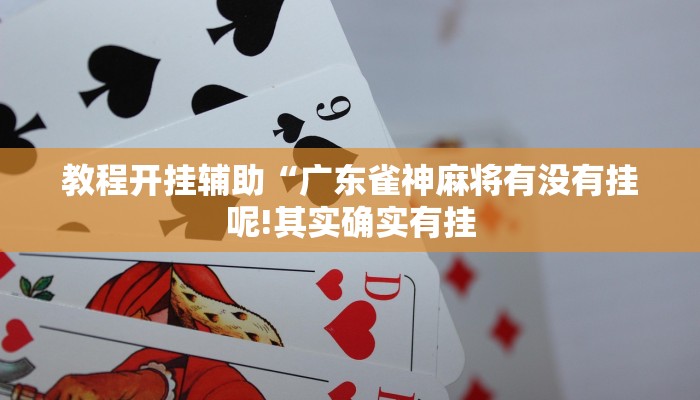 玩家辅助神器:“浙江闲乐十三张辅助器怎么下载!分享用挂教程