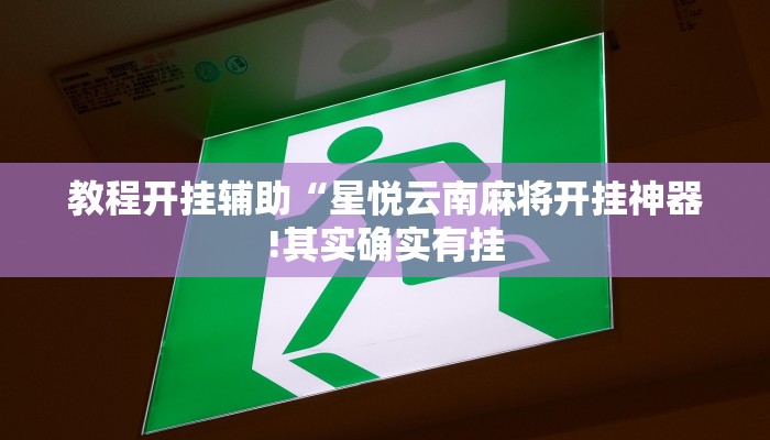 万能开挂辅助“新全游联盟可以不可以开挂”详细开挂教程