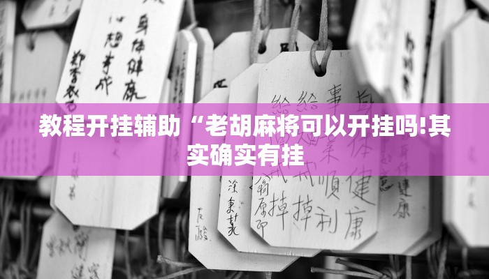 教程开挂辅助“家乡大贰辅助作弊开挂”详细开挂教程