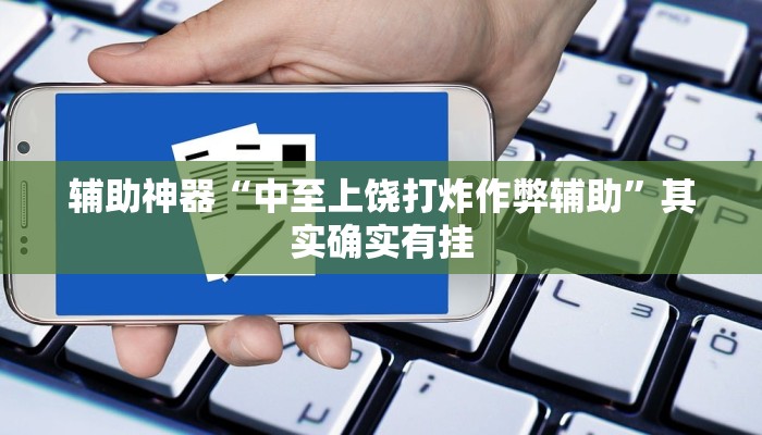 玩家辅助神器:“四方河南麻将挂先试用后付款”其实确实有挂