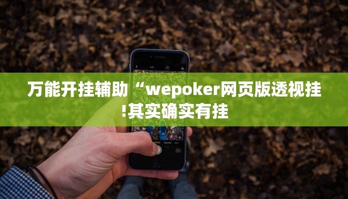 辅助神器“边锋二七十透视挂”其实确实有挂