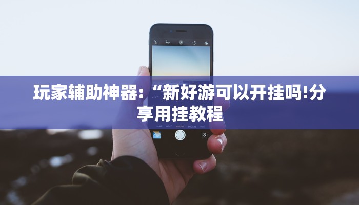 辅助神器“新人海可以开挂吗”其实确实有挂