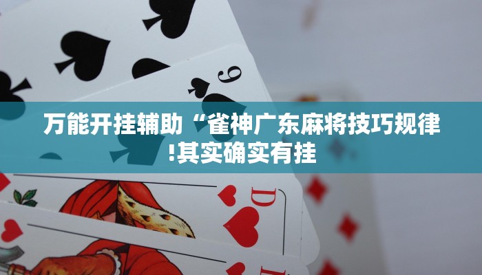 玩家辅助神器:“哥哥杭州麻将可以开挂吗!分享用挂教程