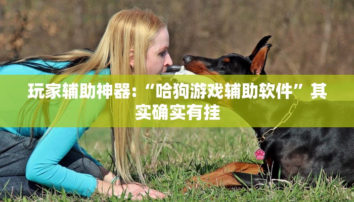 辅助神器“钱塘十三水开挂辅助器是什么弄的!分享用挂教程