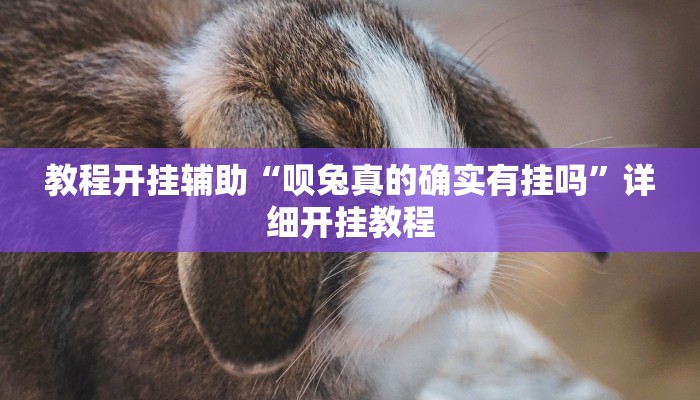 教程开挂辅助“瓜瓜丰城棋牌开挂方法”详细开挂教程