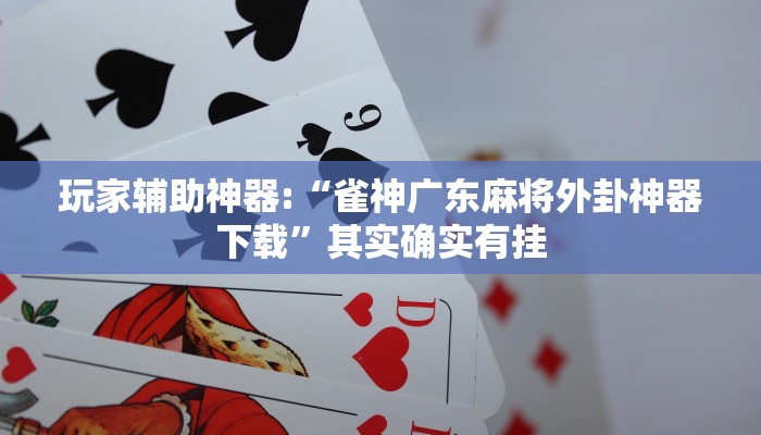 万能开挂辅助“闲趣竞技可以开挂吗!其实确实有挂