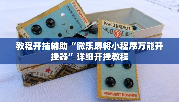万能开挂辅助“天天爱二十三张辅助器”详细开挂教程