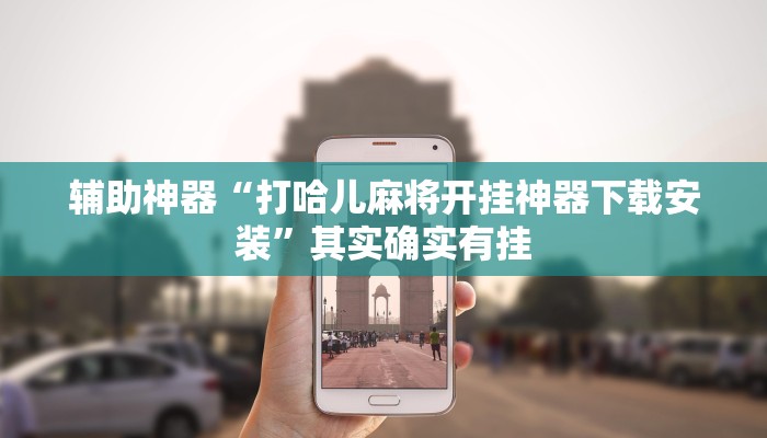 辅助神器“喜扣跑胡子辅助器”其实确实有挂