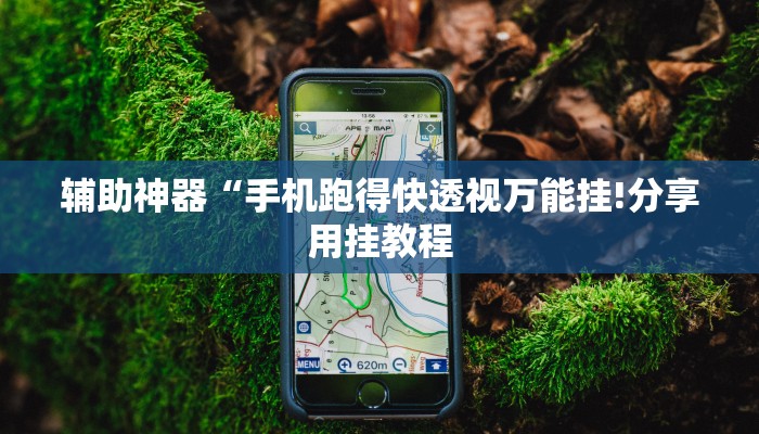 玩家辅助神器:“琼崖麻将万能开挂神器”其实确实有挂