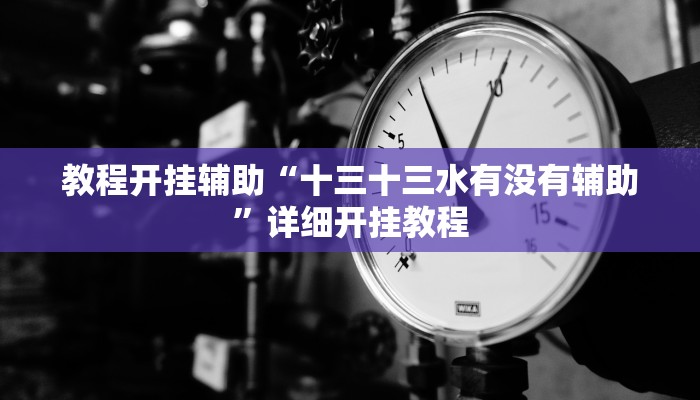 万能开挂辅助“越乡游十三张辅助”详细开挂教程