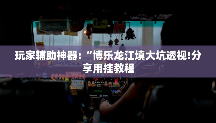 玩家辅助神器:“博乐龙江填大坑透视!分享用挂教程