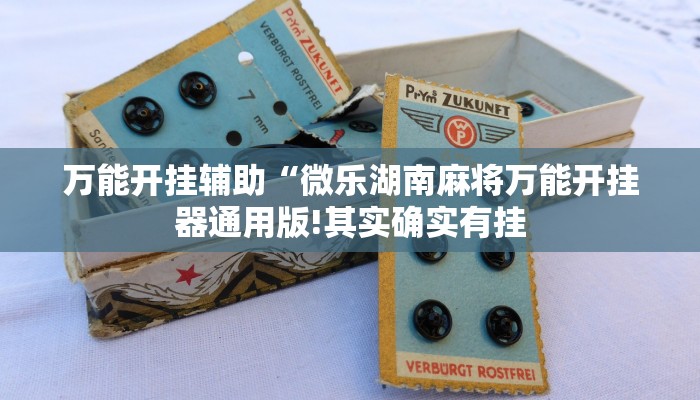 万能开挂辅助“皮皮湖南跑胡子确实真的有挂!其实确实有挂