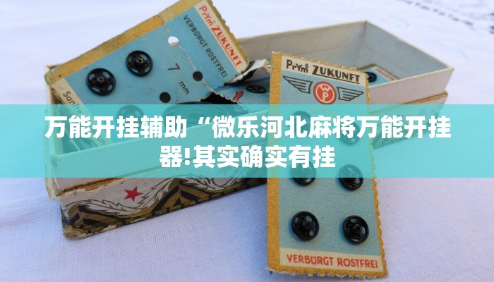 万能开挂辅助“么么都莱游戏可不可以开挂”详细开挂教程