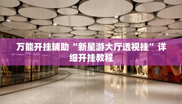 万能开挂辅助“新星游大厅透视挂”详细开挂教程