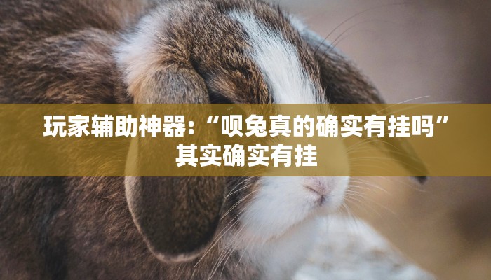教程开挂辅助“决战十三水开挂神器”详细开挂教程
