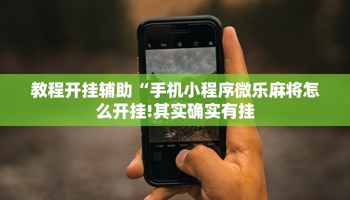 教程开挂辅助“手机小程序微乐麻将怎么开挂!其实确实有挂