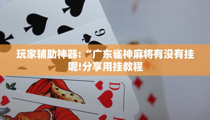 教程开挂辅助“玉海楼茶苑辅助器!其实确实有挂