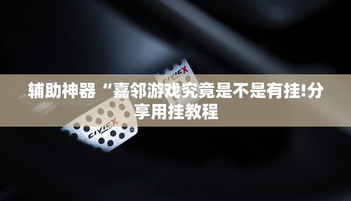 辅助神器“嘉邻游戏究竟是不是有挂!分享用挂教程