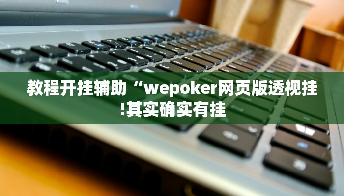 教程开挂辅助“wepoker网页版透视挂!其实确实有挂