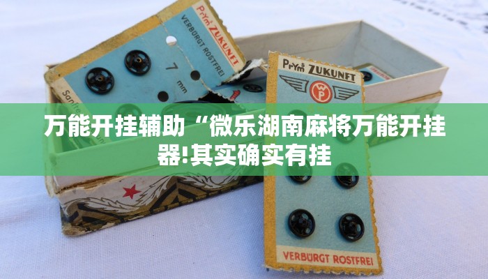 万能开挂辅助“微乐湖南麻将万能开挂器!其实确实有挂