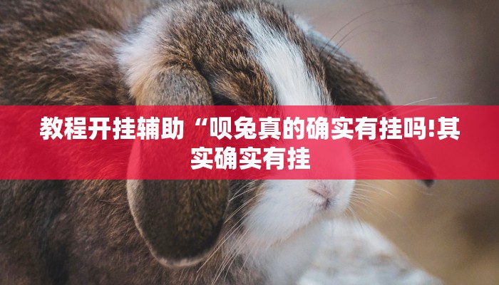 万能开挂辅助“微乐河南麻将开挂神器”详细开挂教程